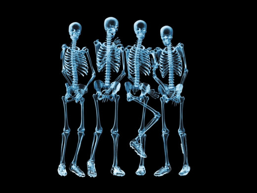 167984 (a): :1024x768